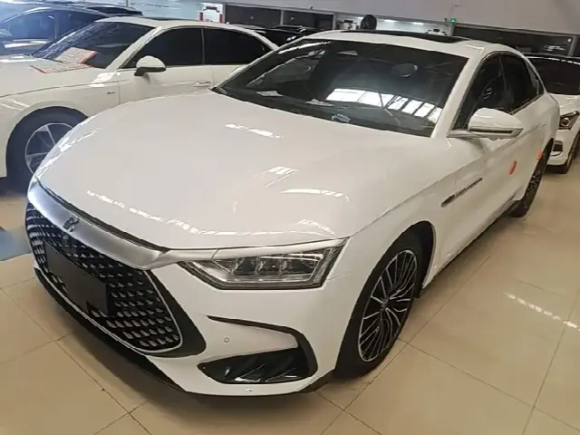 BYD Han 2022, 63 500 км