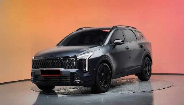 Kia Sportage 2024, 18 173 км