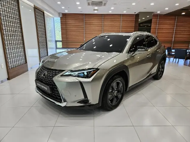 Lexus UX 2024, 8 934 км