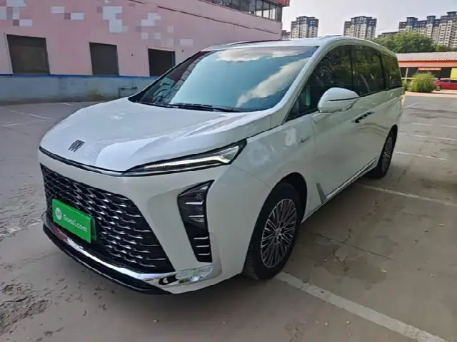 Buick GL8 Hybrid 2024, 35 100 км