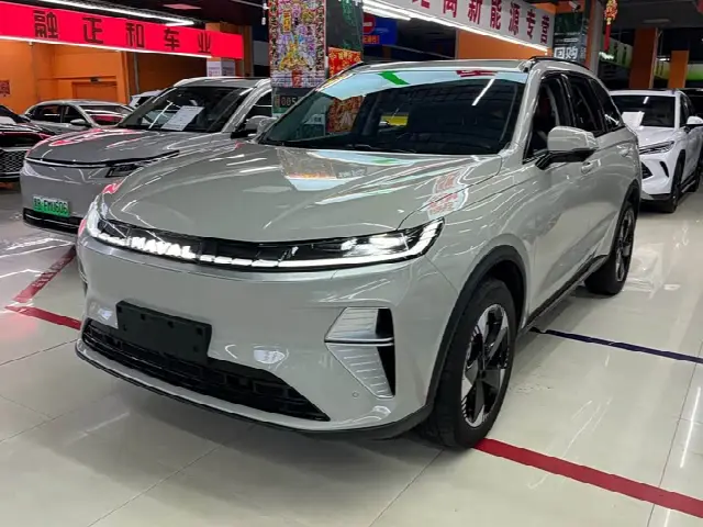 Haval Ruge Max 2025, 25 000 км