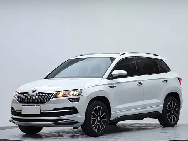 Skoda Karoq 2023, 11 000 км
