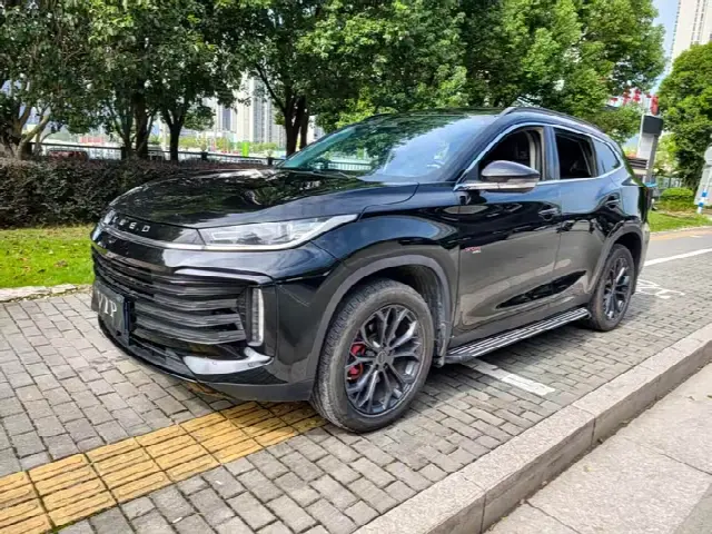 Exeed TXL 2023, 60 000 км