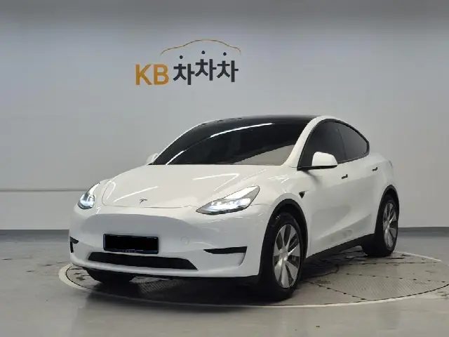 Tesla Model Y 2020, 83 317 км