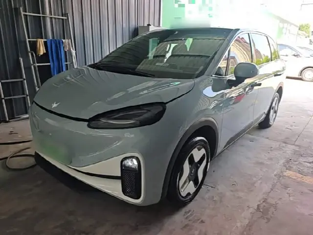 BAIC Arcfox Kaola S 2024, 16 700 км