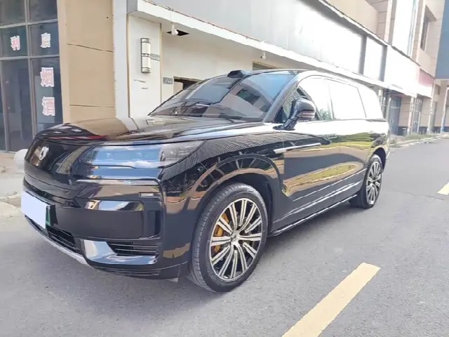 Denza N9 2025, 31 000 км