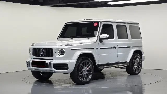 Mercedes-Benz G-Class 2019, 17 259 км