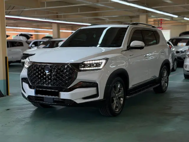 KGM Rexton 2020, 80 315 км