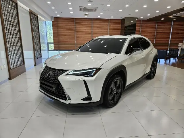 Lexus UX 2024, 22 122 км