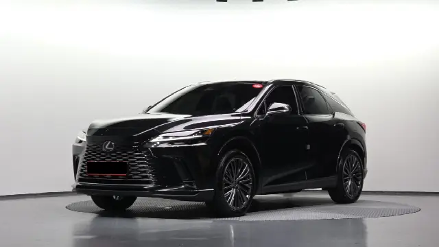 Lexus RX 2023, 10 982 км