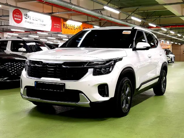 Kia Seltos 2022, 11 223 км