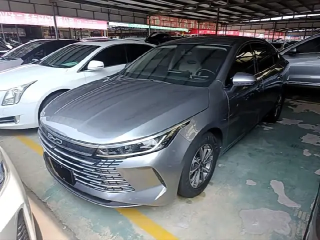 BYD Destroyer 05 2024, 41 900 км