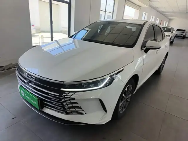 BYD Destroyer 05 2024, 29 400 км