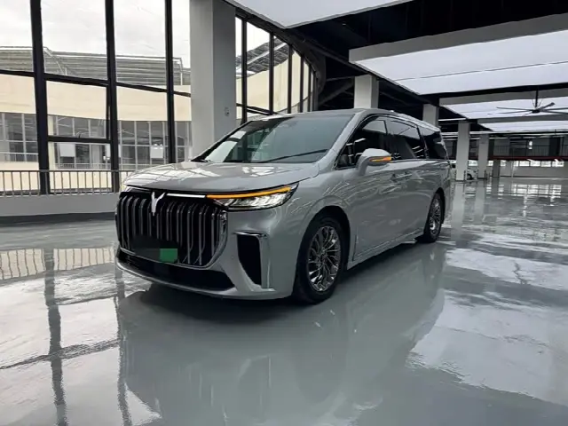 Voyah Dream 2022, 77 000 км