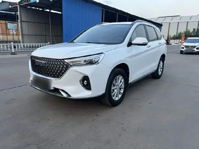 Haval M6 2021, 47 500 км