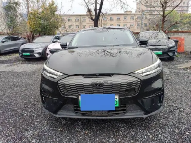 Ford Mustang Mach-E 2021, 86 000 км