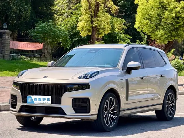 Lynk & Co 09 EM-P Hybrid 2021, 90 000 км