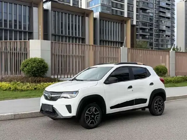 Dongfeng Yipai Nano EX1 2021, 68 000 км