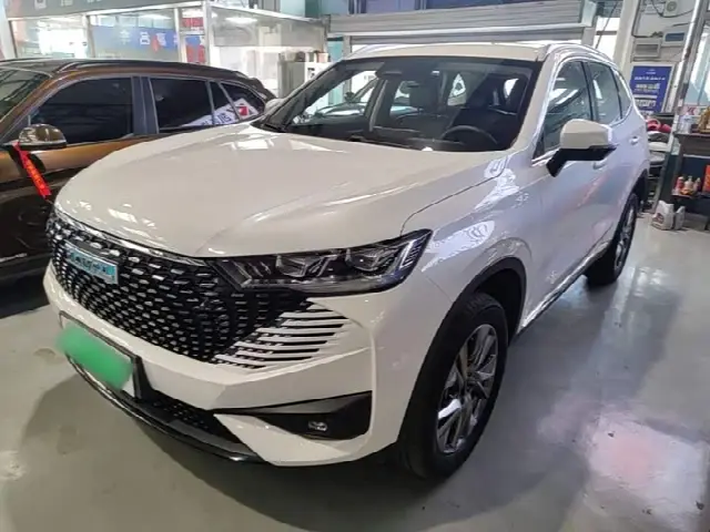 Haval H6 Hybrid 2023, 28 400 км