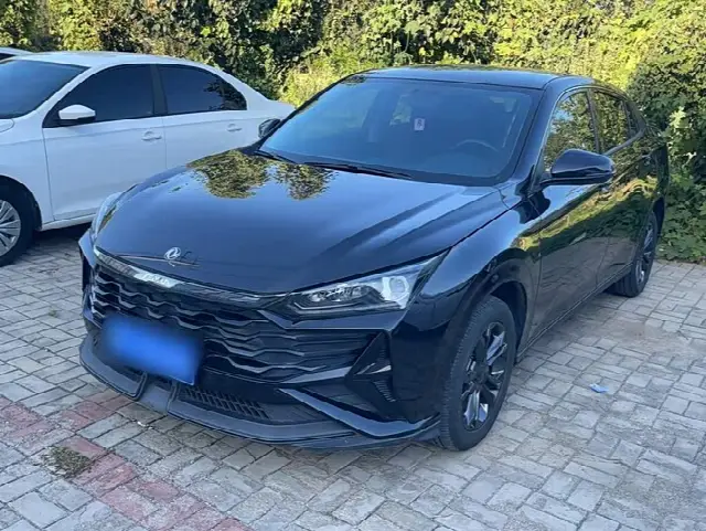 Dongfeng Aeolus Yixuan 2024, 16 600 км