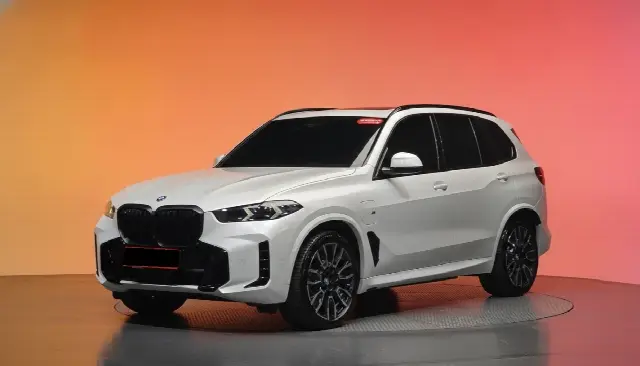 BMW X5 2019, 17 498 км