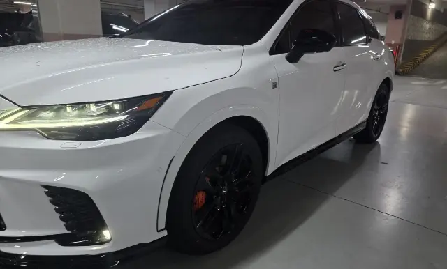 Lexus RX 2023, 16 900 км