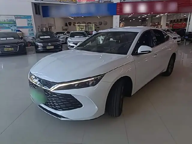 BYD Qin L 2024, 86 700 км