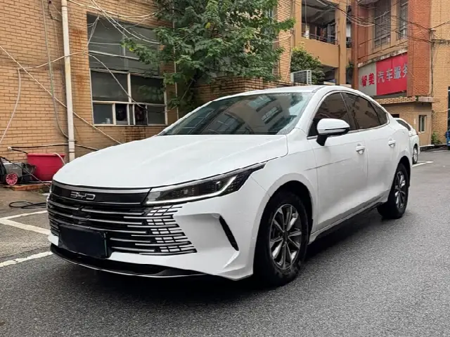 BYD Destroyer 05 2023, 40 000 км