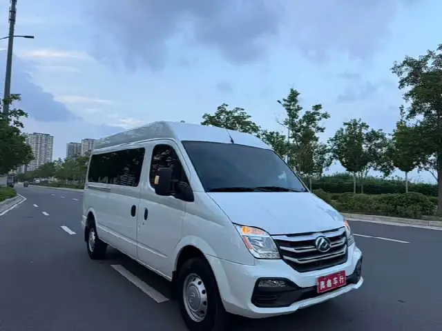 Maxus V80 2025, 54 000 км
