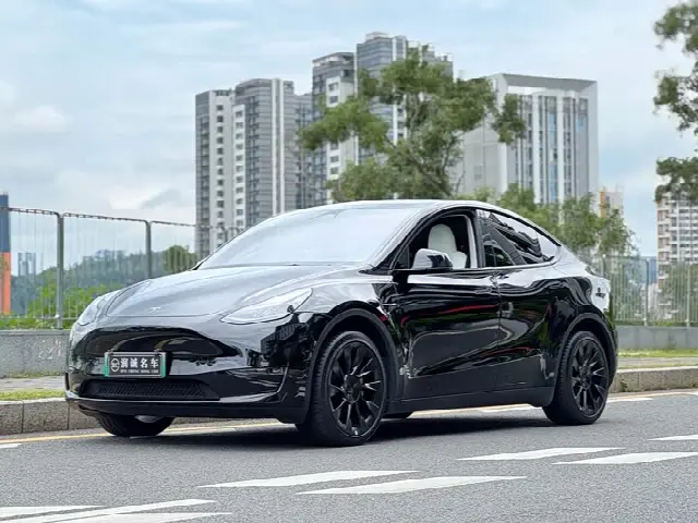 Tesla Model Y 2023, 25 000 км