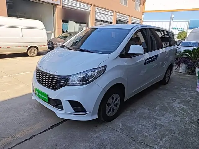 Maxus G10 2023, 76 400 км