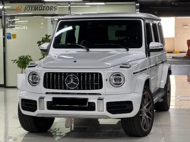 Mercedes-Benz G-Class 2019, 8 300 км