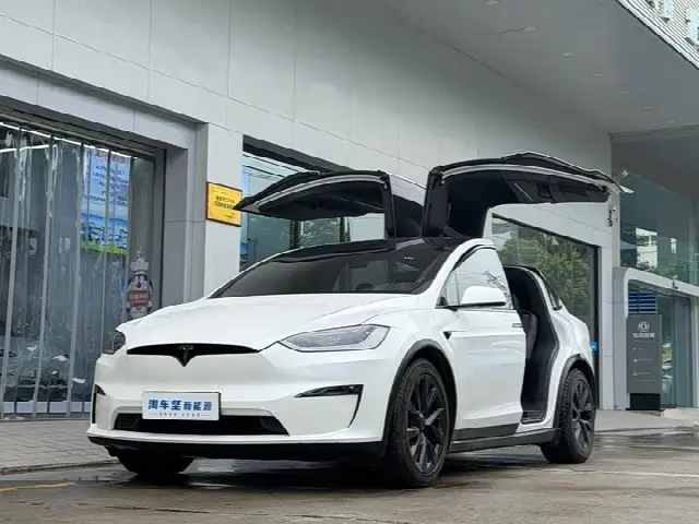 Tesla Model X 2023, 48 000 км