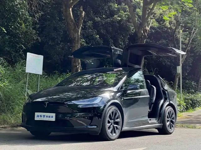 Tesla Model X 2023, 50 000 км