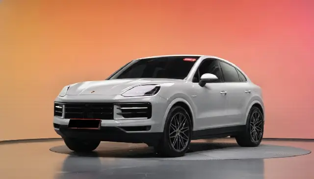 Porsche Cayenne 2019, 17 645 км