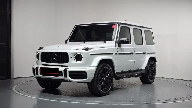 Mercedes-Benz G-Class 2019, 30 552 км
