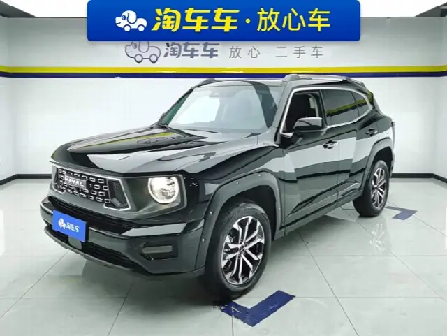 Haval H-Dog 2023, 22 100 км