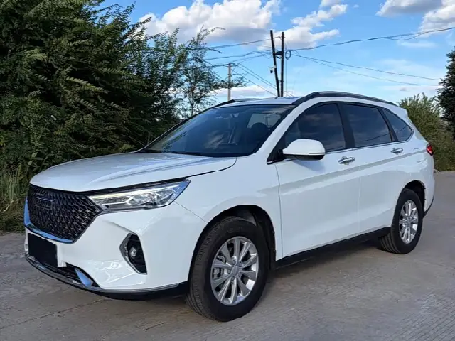 Haval M6 2023, 40 000 км