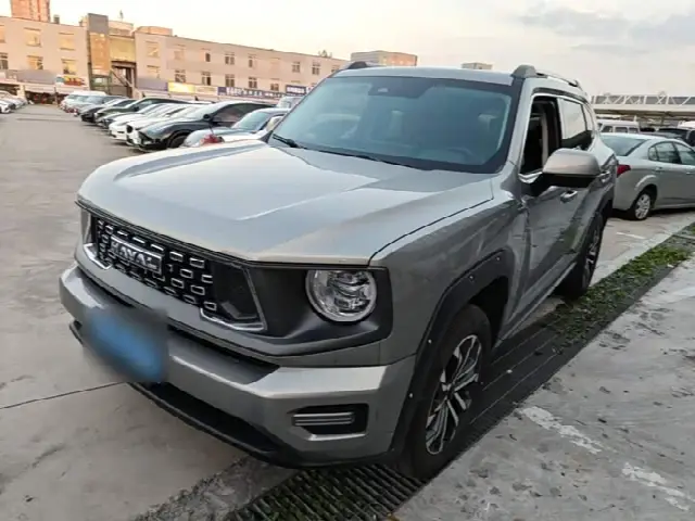 Haval H-Dog 2023, 16 200 км
