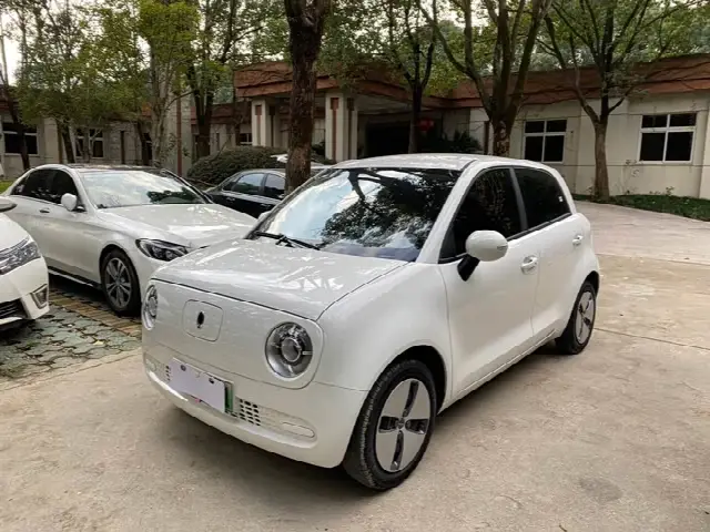 Ora Black Cat 2021, 31 000 км