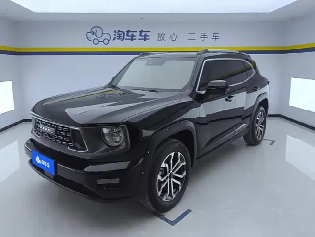 Haval H-Dog 2023, 32 000 км