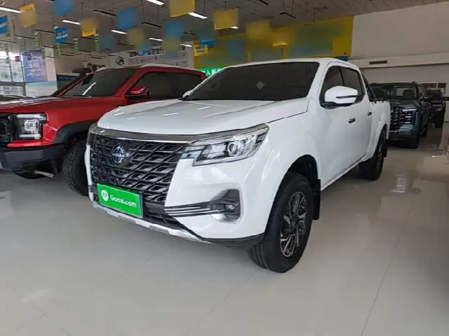 Dongfeng Rich 7 2022, 58 100 км