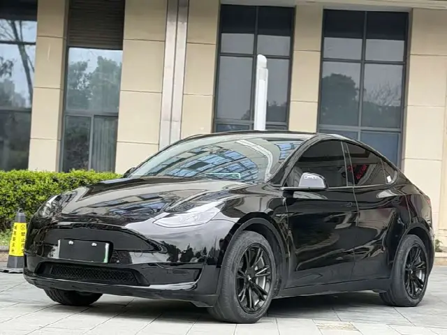 Tesla Model Y 2022, 63 000 км