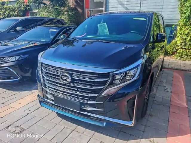 GAC Trumpchi M8 2023, 51 000 км