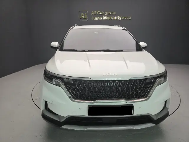 Kia Carnival 2020, 87 496 км