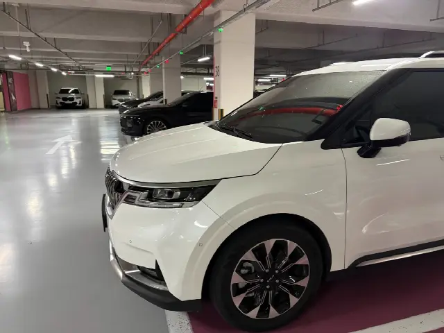 Kia Carnival 2020, 18 000 км