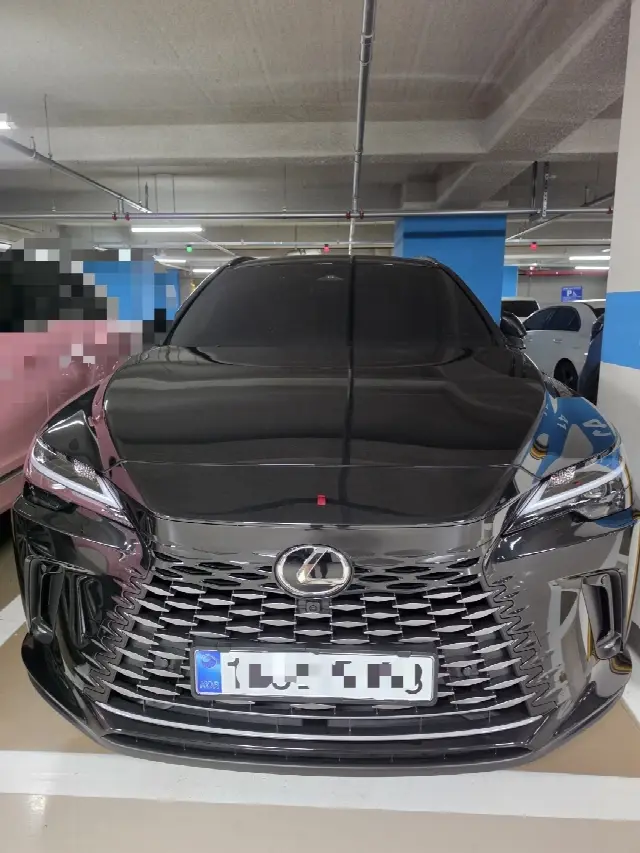 Lexus RX 2023, новый