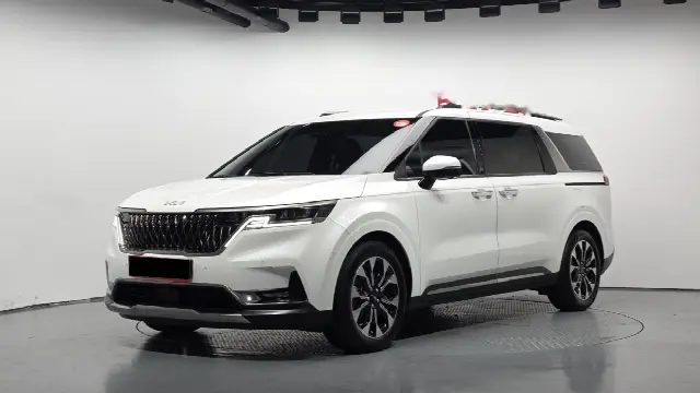 Kia Carnival 2020, 24 144 км