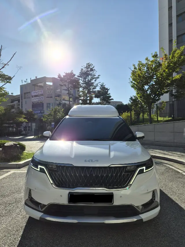 Kia Carnival 2020, 49 000 км