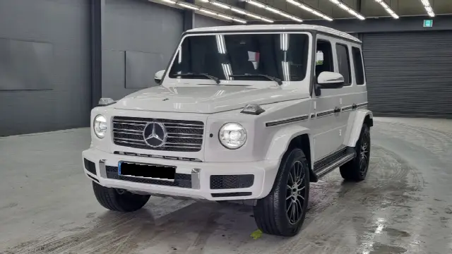 Mercedes-Benz G-Class 2019, 19 335 км